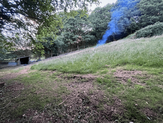 Steep Bank Vegetation Clearance & Mowing After 2