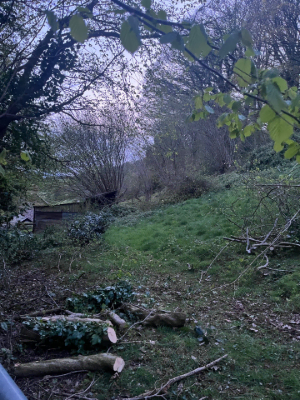 Steep Bank Vegetation Clearance & Mowing Before 1