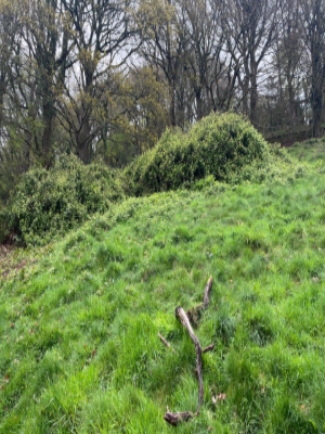 Steep Bank Vegetation Clearance & Mowing Before 3