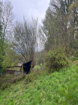 Steep Bank Vegetation Clearance & Mowing Before 4