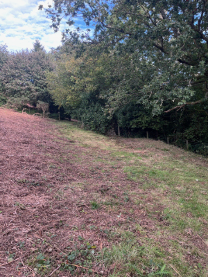 Bracken & Woodland Edge Clearance After 2