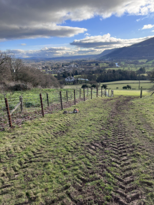 New Farmland Boundary Fence Installation After 1