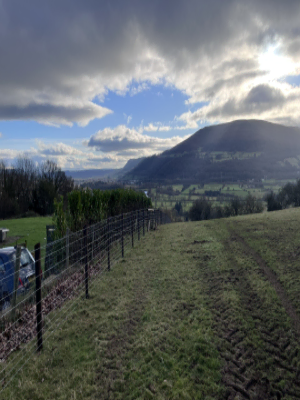 New Farmland Boundary Fence Installation After 2