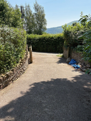 Extensive Hedge & Tree Line Management After 2