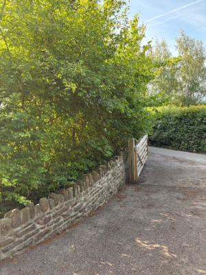 Extensive Hedge & Tree Line Management Before 1