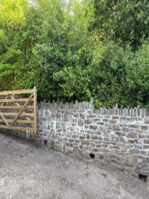 Extensive Hedge & Tree Line Management Before 2