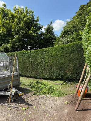 Residential Hedge Trimming & Shaping After 1