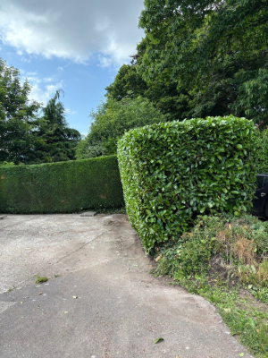 Residential Hedge Trimming & Shaping After 6